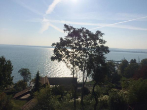 Отель TIHANY (BALATON), BEST VIEW, SPACIOUS WELLNESS, CENTRAL , 50m BEACH  Тихань